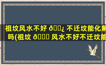 祖坟风水不好 🌿 不迁坟能化解吗(祖坟 🍀 风水不好不迁坟能化解吗为什么)